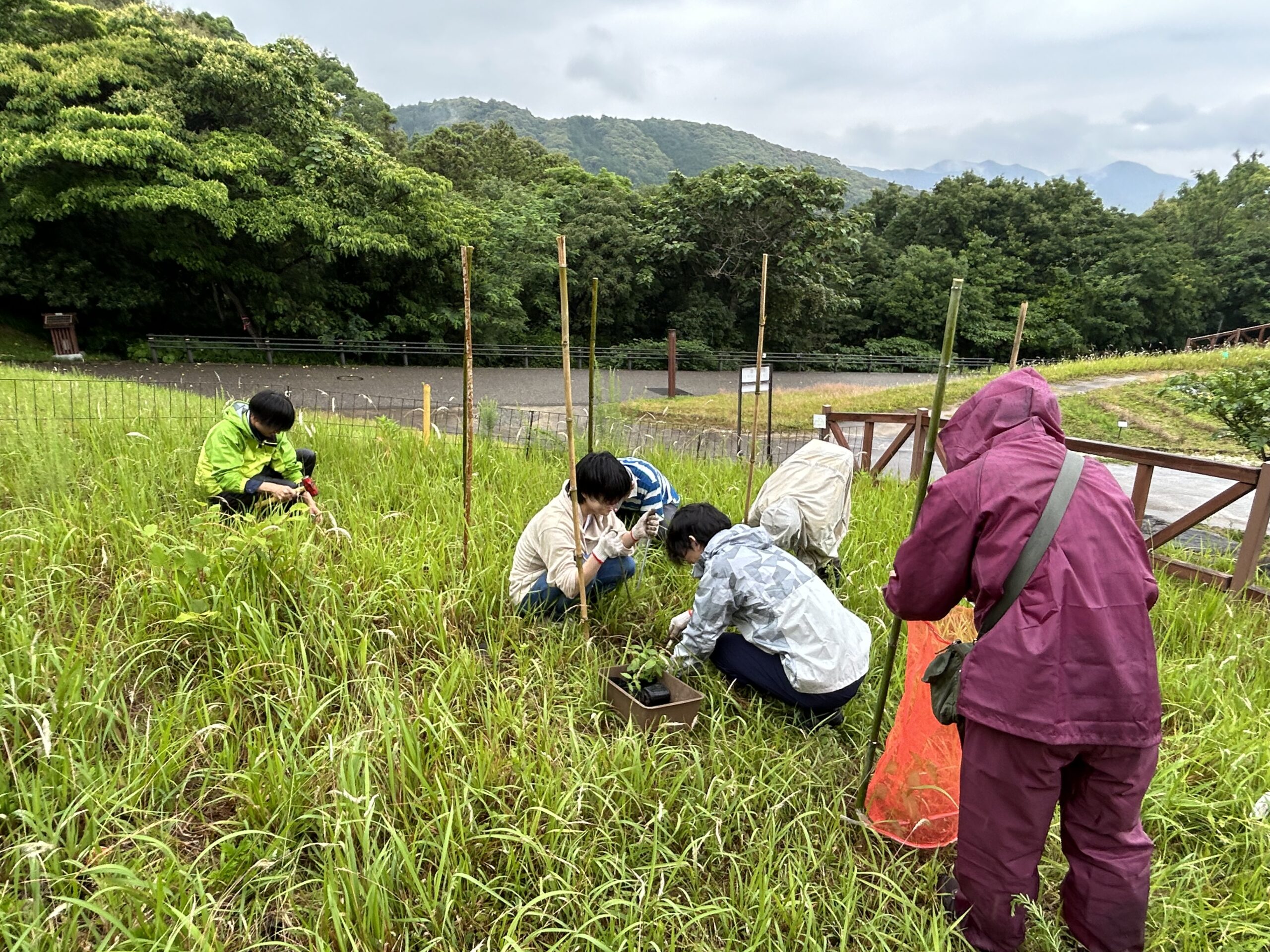 鹿よけネットの設置風景